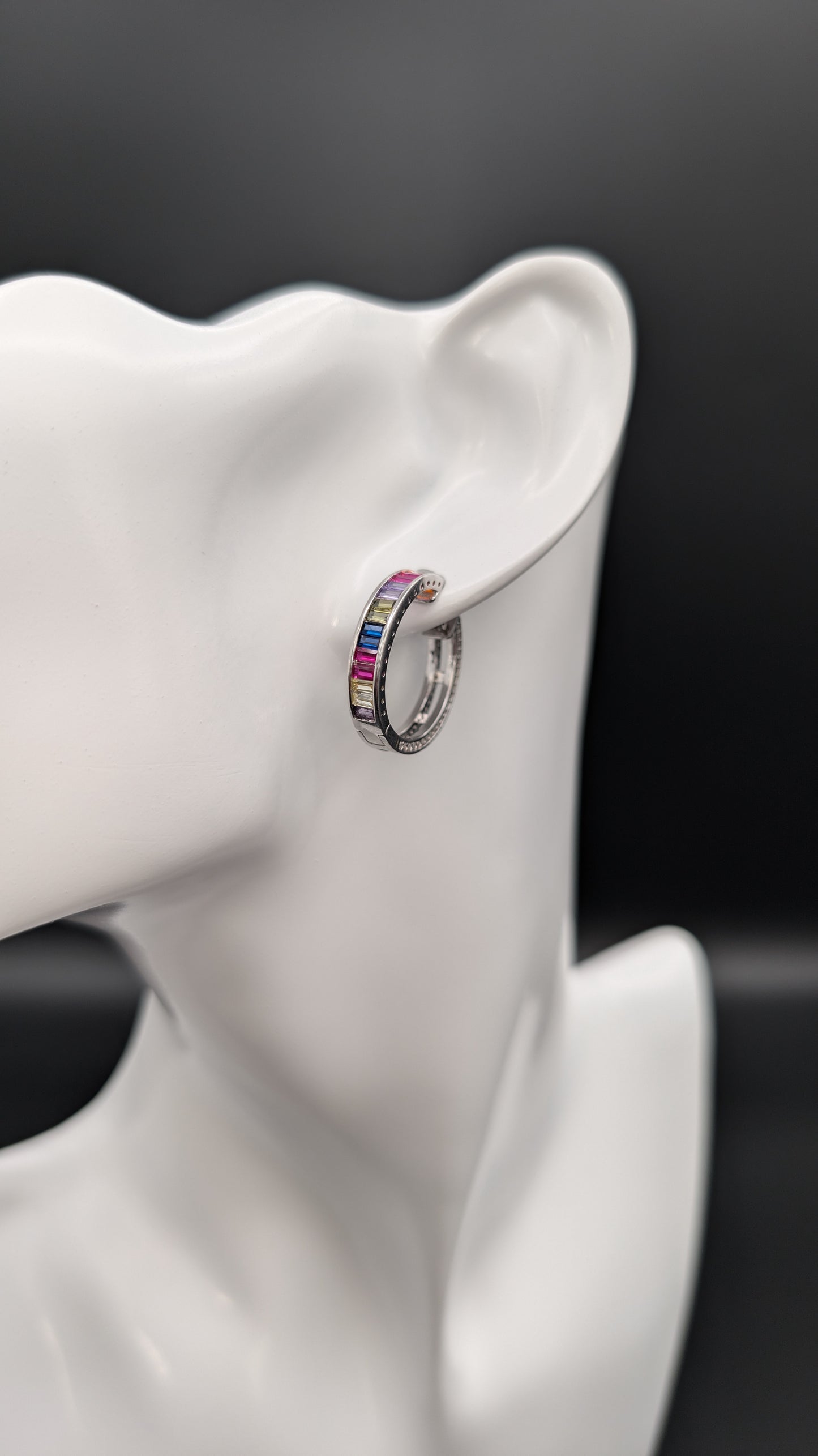 Rainbow Hoop Earrings